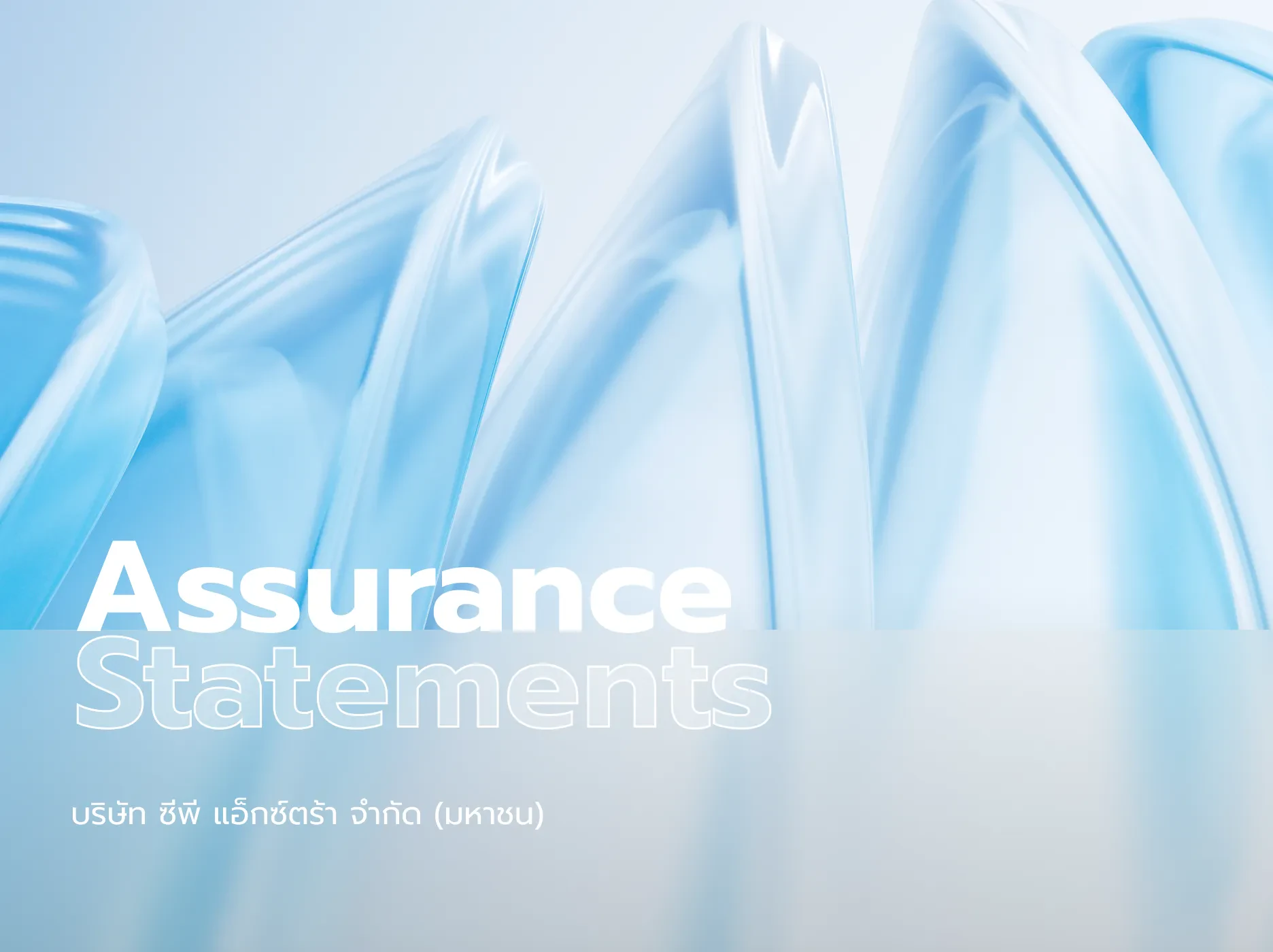 Assurance Statement 2025