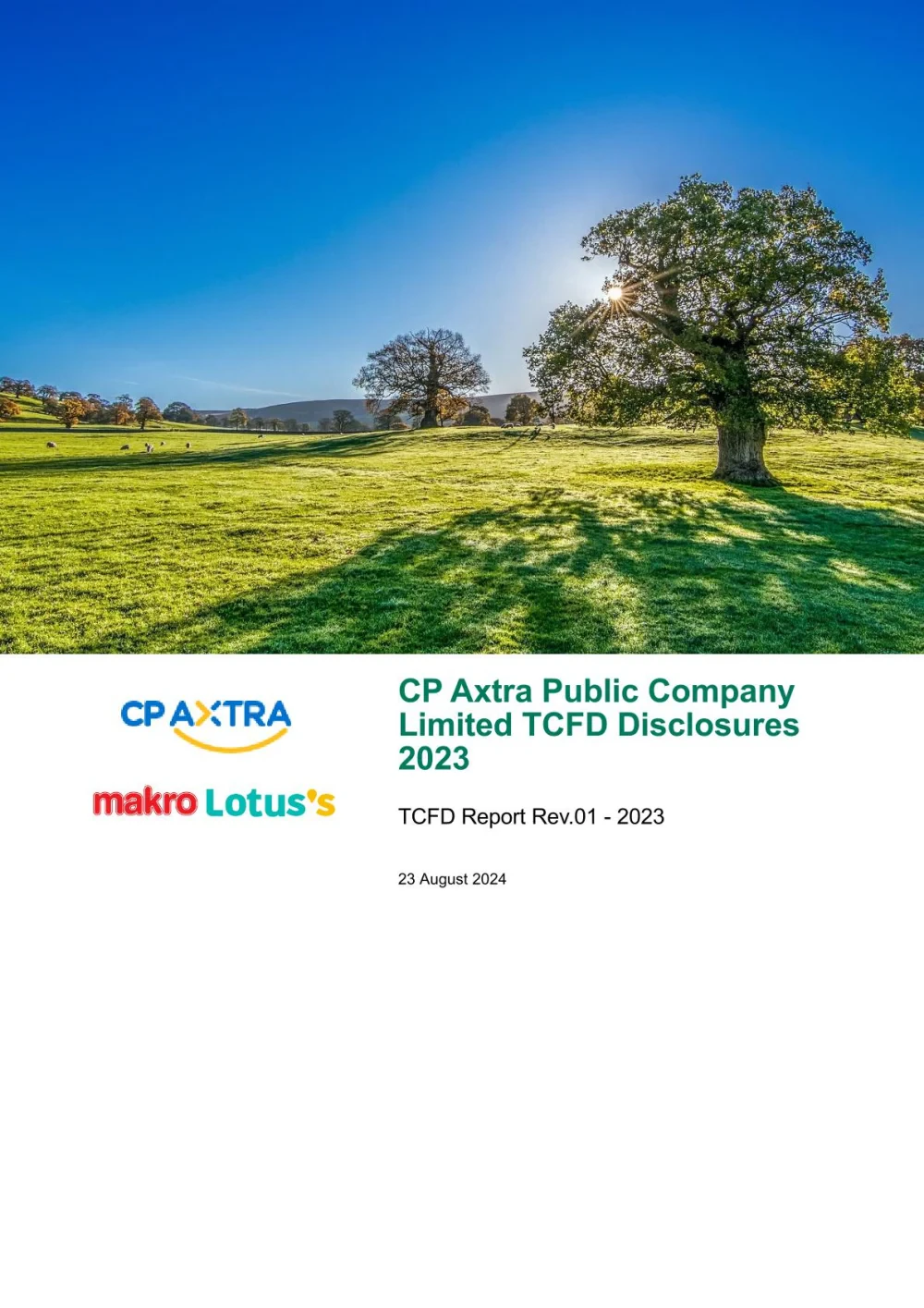 TCFD Report 2023