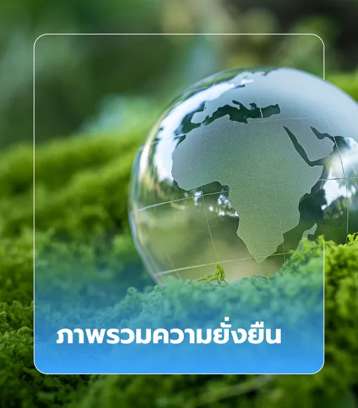 ภาพรวมความยั่งยืน