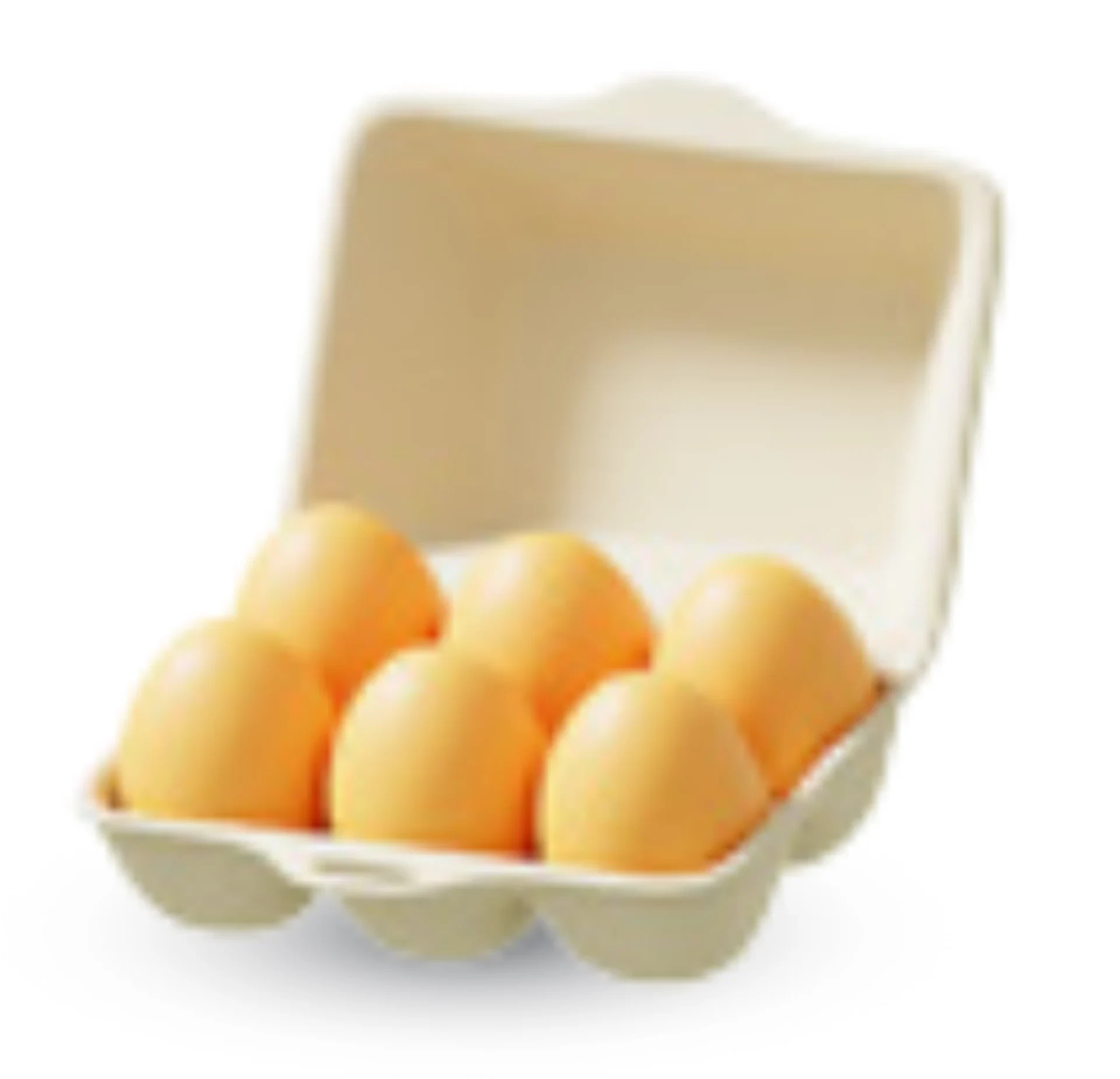 Cage Free Egg Product