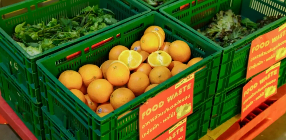 "EM Fermentation from Food Waste" Project