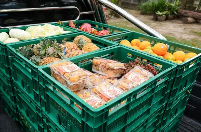 "Food Waste - Feed Wildlife" Project