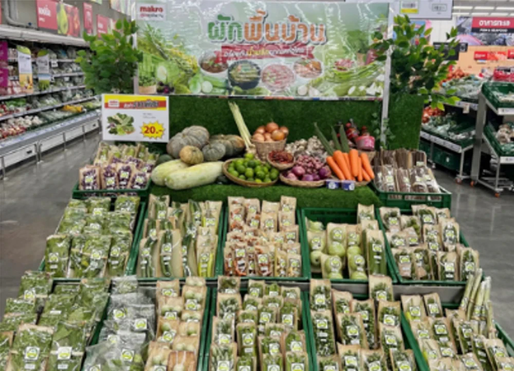 Innovation project “Sustainable packaging with banana stems”