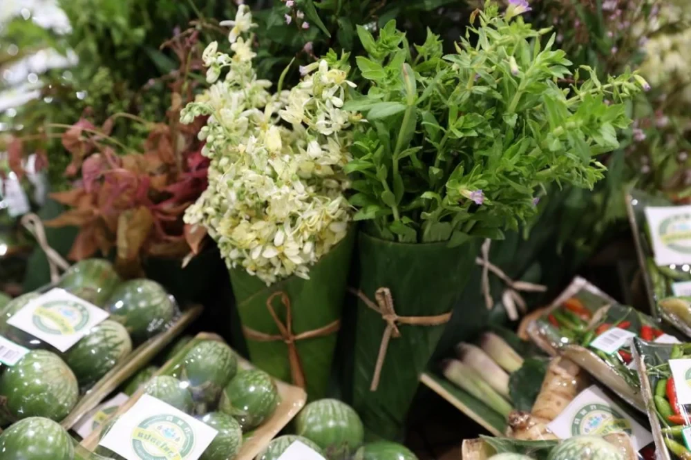Innovation project “Sustainable packaging with banana stems”