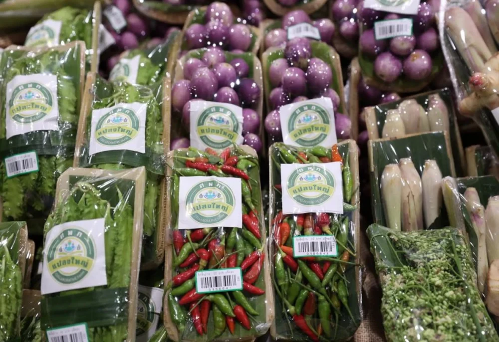 Innovation project “Sustainable packaging with banana stems”