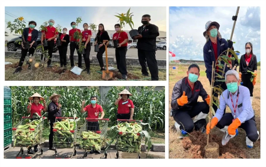 "Planting Trees at Store" Projects